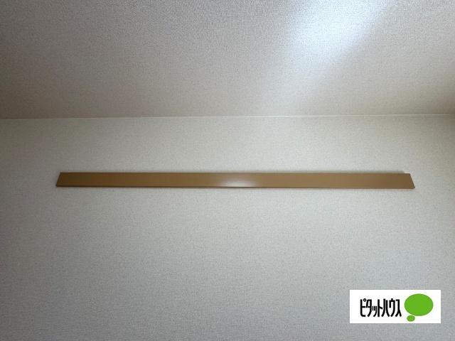 Surplus貴 その他