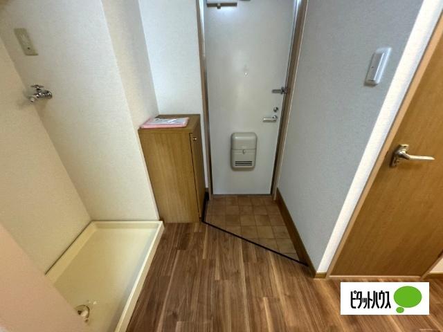 Surplus貴 その他