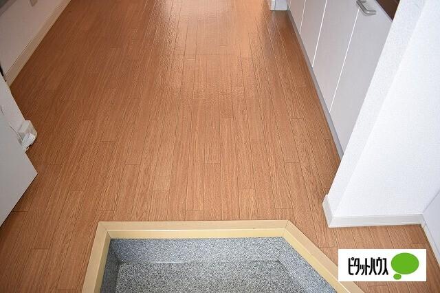 パルテノン幸 部屋画像