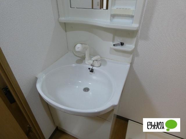 ロンサール竹淵 洗面
