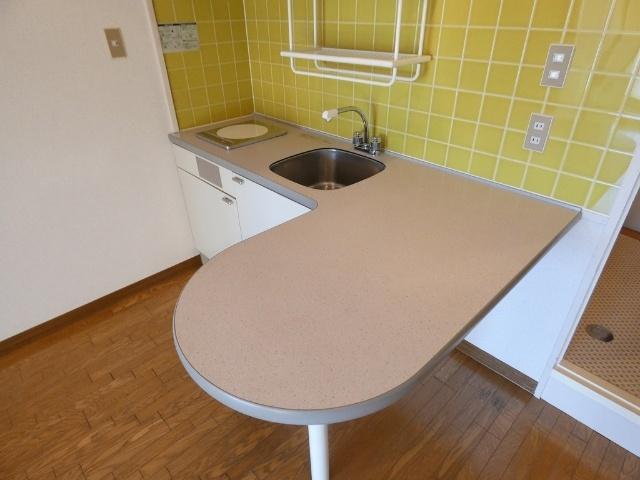 開智ハイツ その他