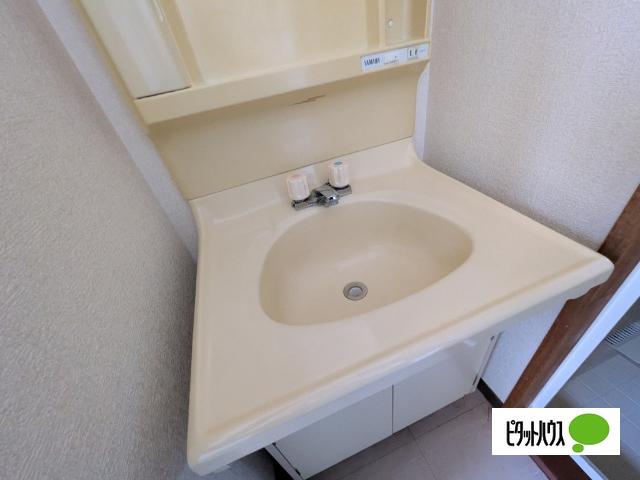 ファミール茅野 洗面