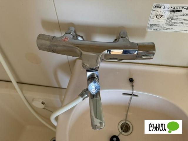 グリーンハイツ蟻ケ崎 洗面
