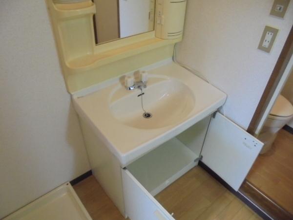 コーポラピス 洗面