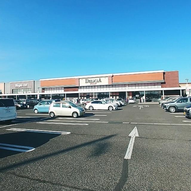 デリシア庄内店：298m
