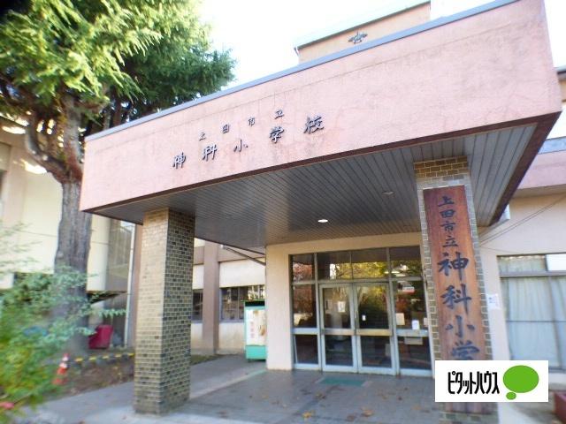 上田市立神科小学校：515m