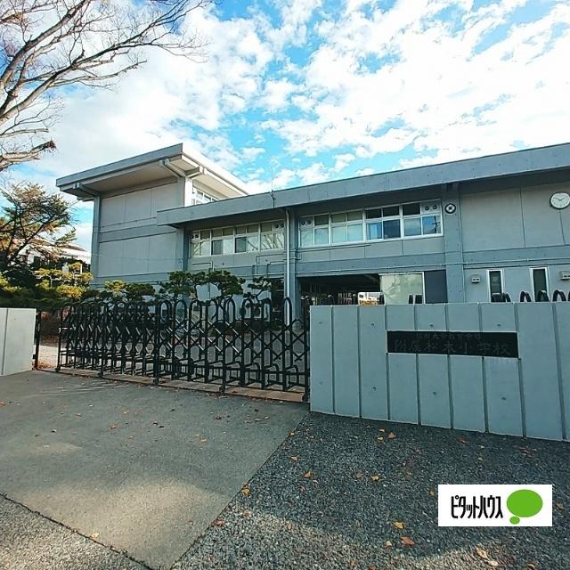 国立信州大学教育学部附属松本小学校：437m