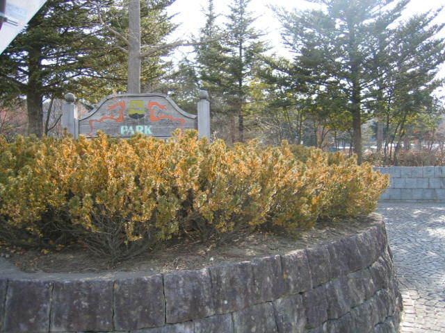 長池公園：981m