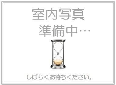 セレーサ（303） リビング