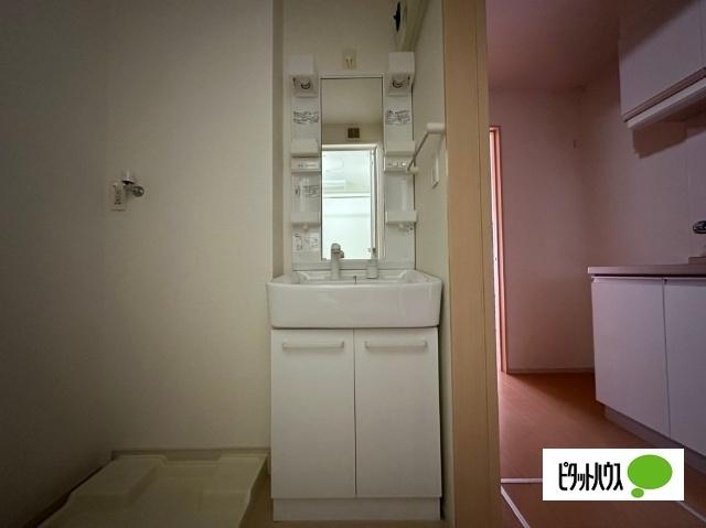 プチメゾン泉（101） 洗面