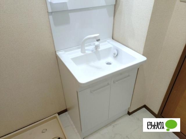 グランドール沢村　Ａ（A103） 洗面