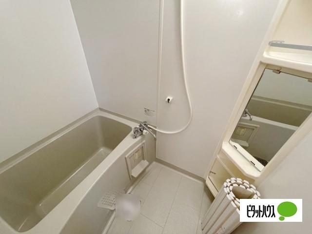 ｐｉａｃｅｒｅ(ピアチェーレ)（206） 部屋画像