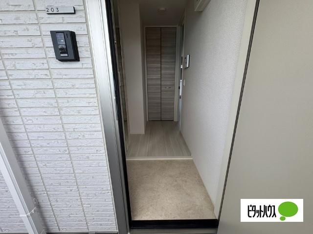 GRAND　D-ROOM　村井北（203） 玄関