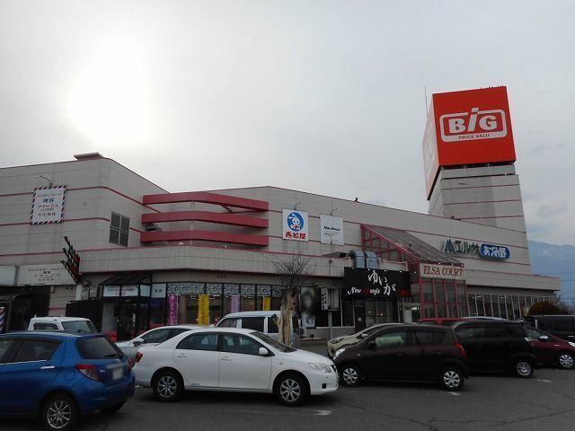 ザ・ビッグ　三郷店：900m