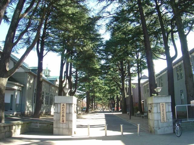 あがたの森公園：1536m