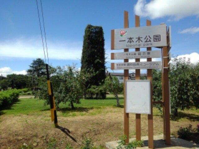 一本木公園：2022m