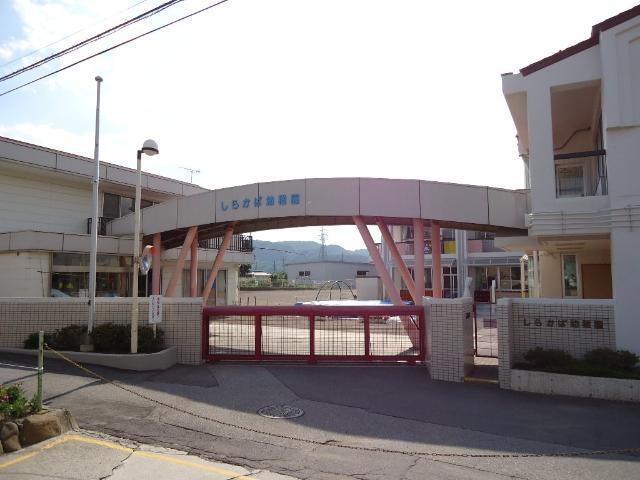 しらかば幼稚園：212m