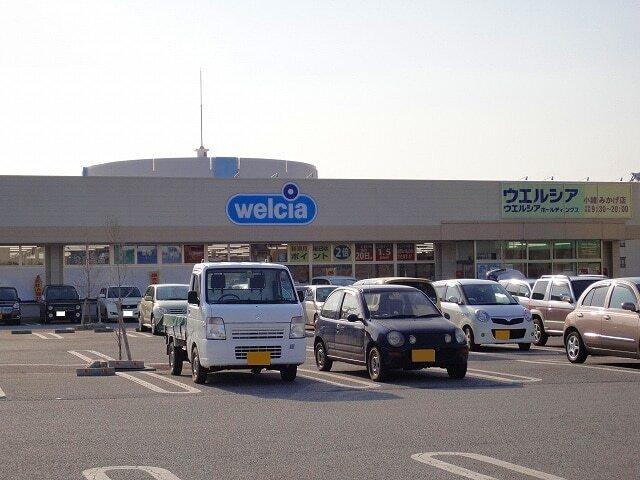 ウエルシア　小諸みかげ店：600m