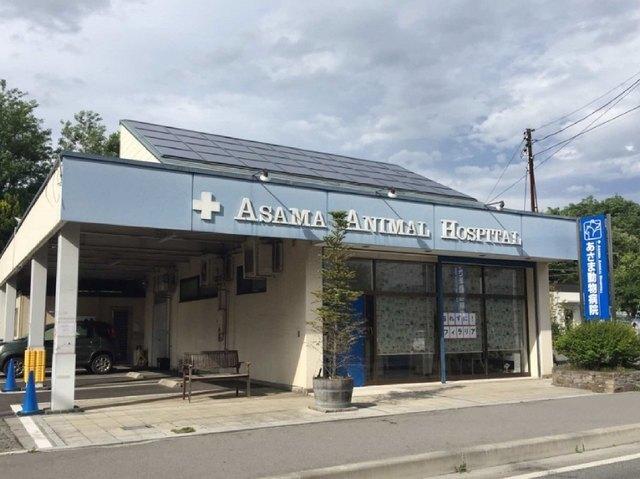 あさま動物病院：1300m