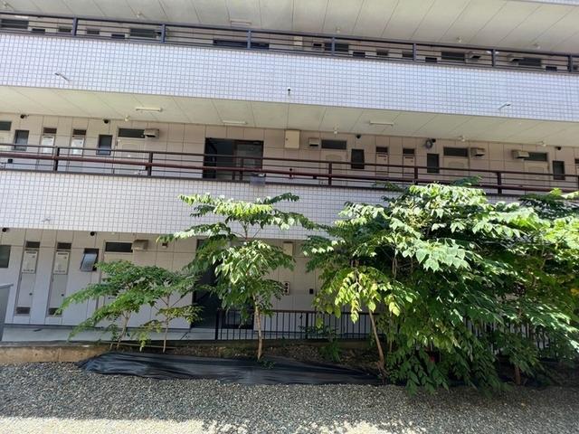 セジュールオッツ・YSK（308） 眺望