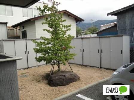 ディアス　N 共有部分