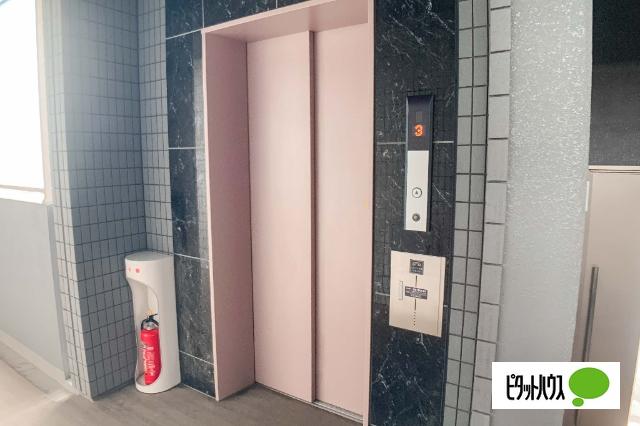 アライブⅣ 共有部分