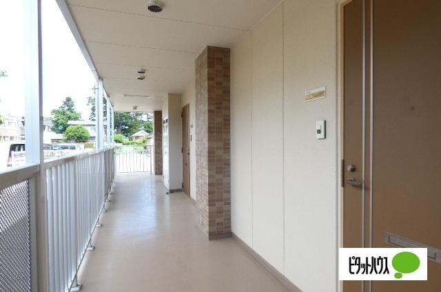 スコラハウスＳ その他