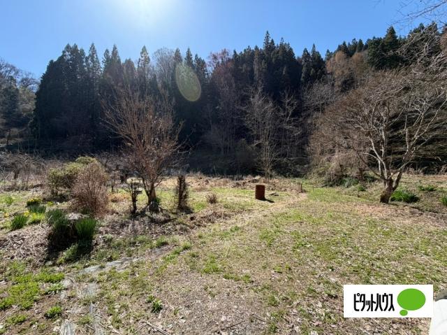 長野市大字小鍋一戸建 庭