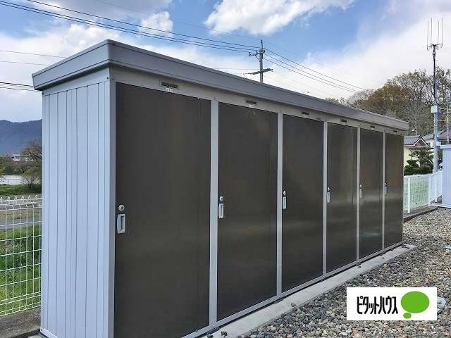 シェソワ常入 その他
