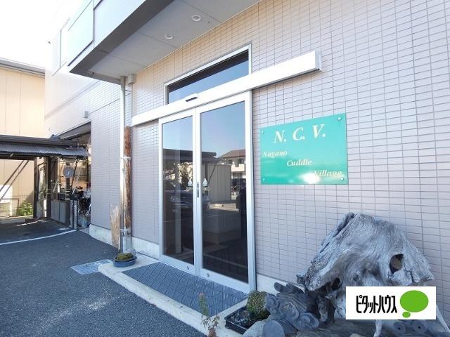 ＮＣＶ エントランス
