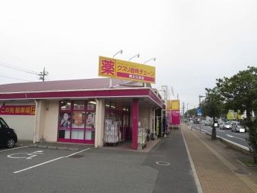 クスリ岩崎チェーン徳山久米店：600m