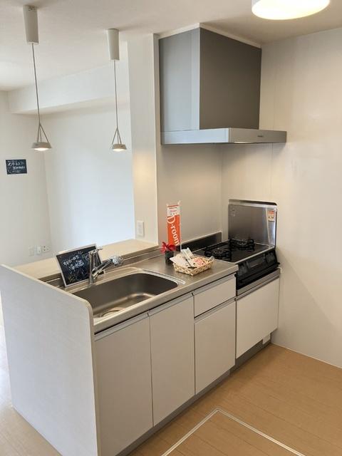 D-roomＫ（101） キッチン