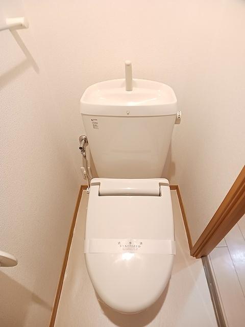 グラン・シエロ（307） トイレ