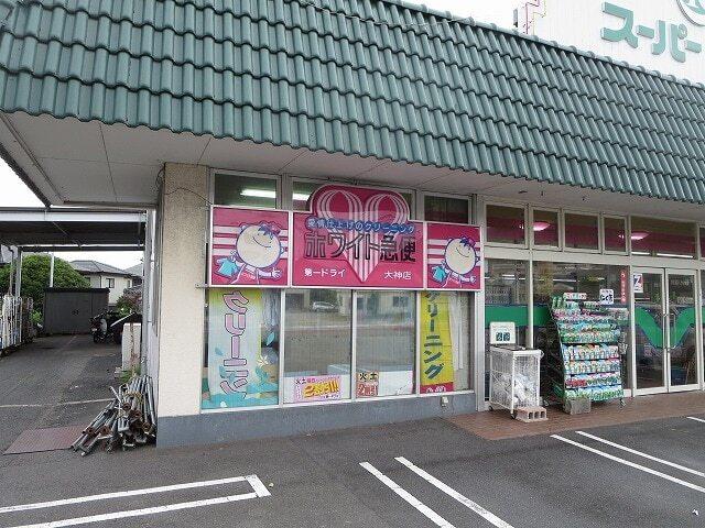 ホワイト急便第一ドライ大神店：800m