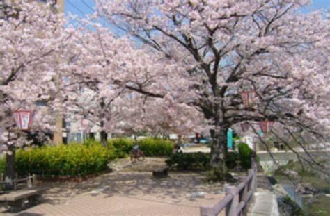 公園