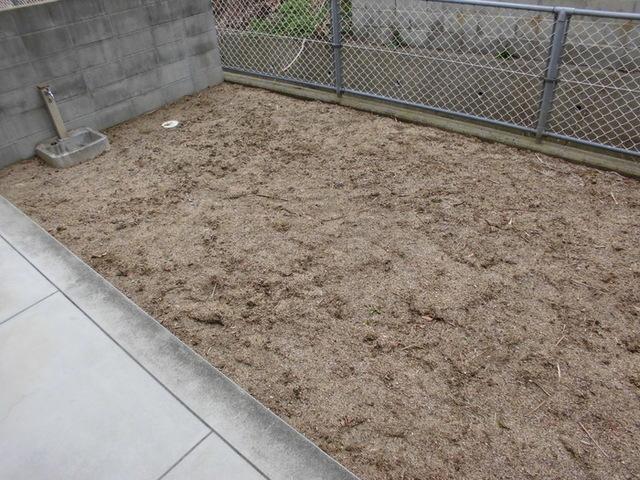 リッツハウス上野（103） 庭