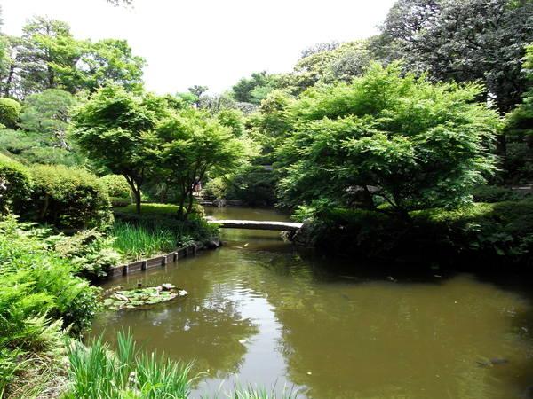 公園