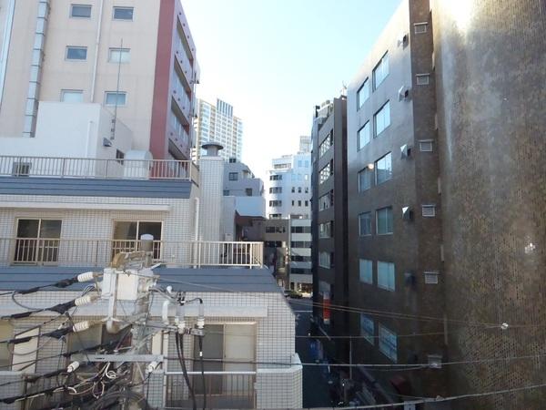 グリーンビュー白金 眺望