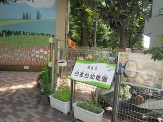 幼稚園、保育園