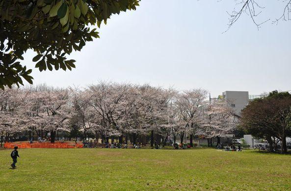公園