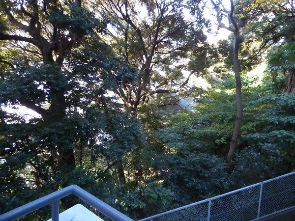 マンション雅叙園 眺望