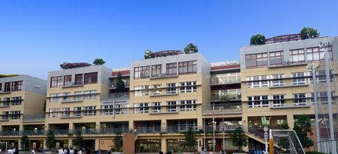 中学校