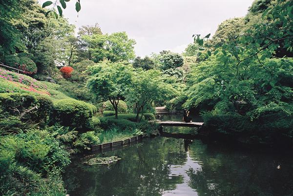公園