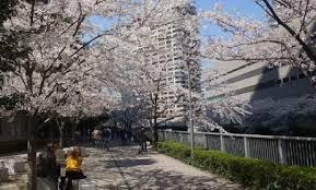 公園