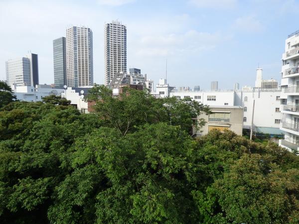 マンション雅叙苑1号棟 眺望
