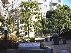 公園
