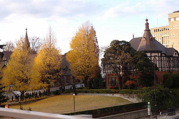 高校