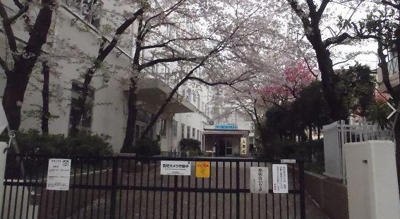 小学校