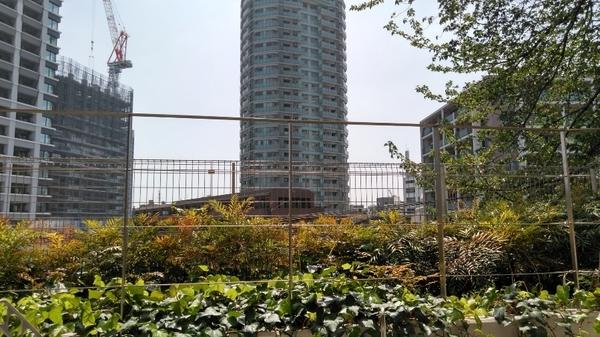 オープンレジデンシア目黒花房山 眺望