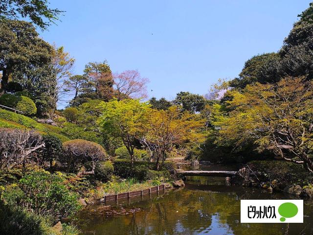 公園